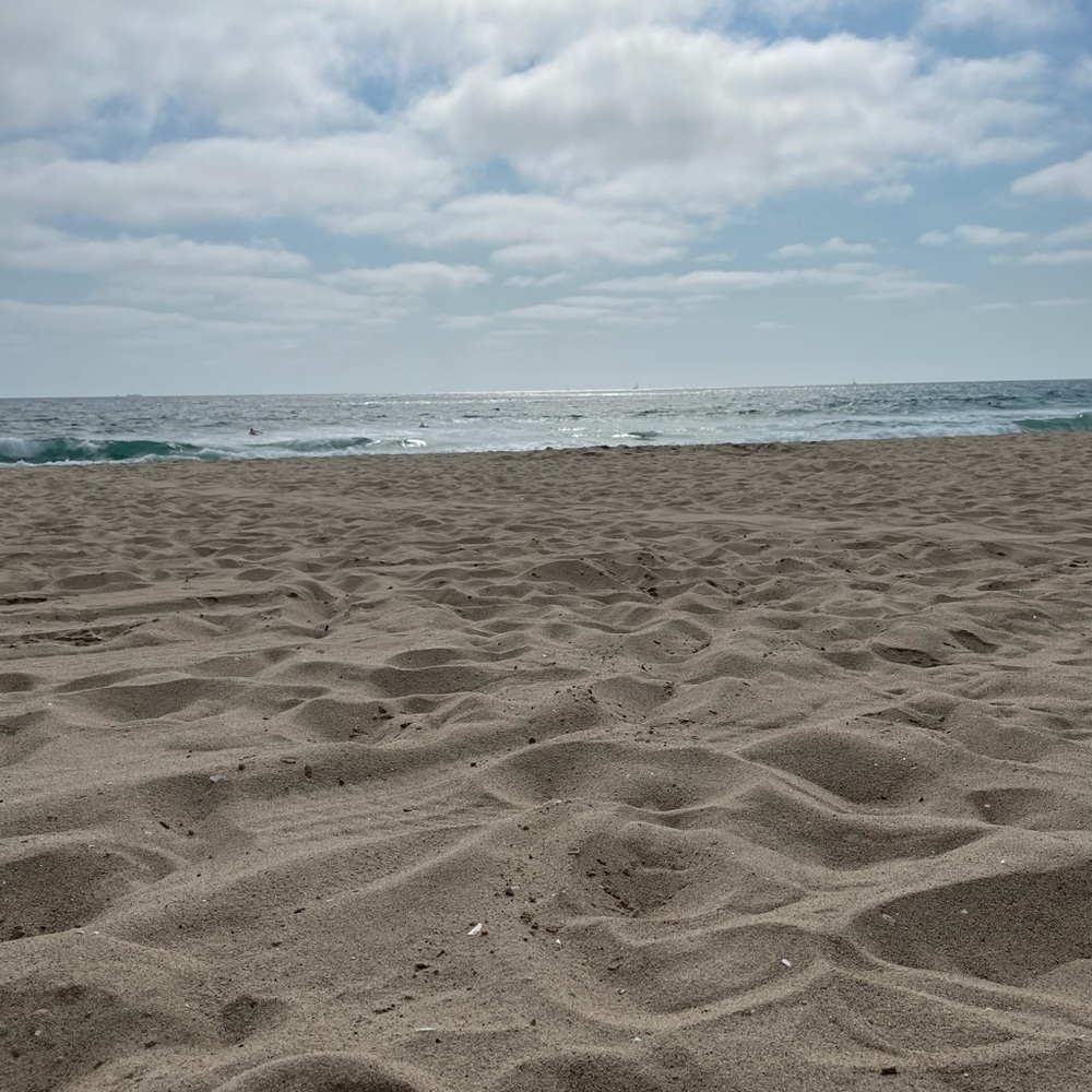 Meet your Posher, Lily